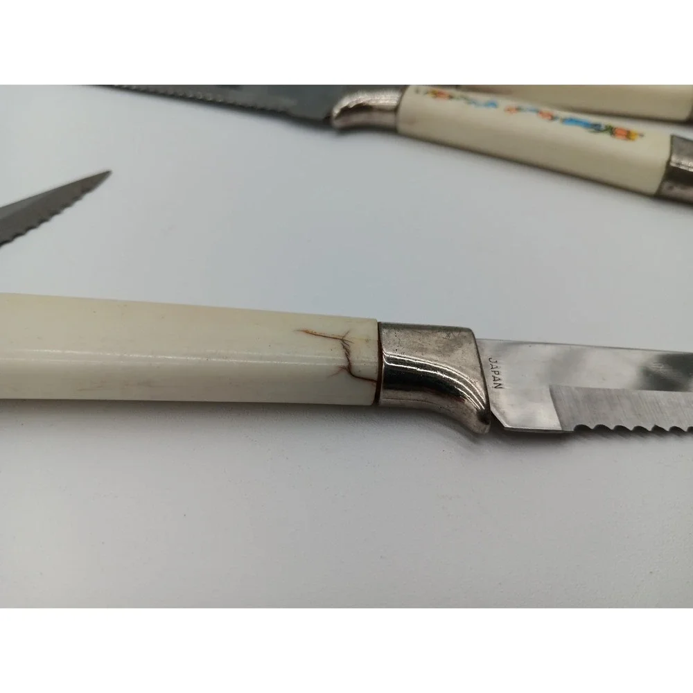 6 VTG Steak Knives Plastic Handle‎ Blue Bird Orange Stainless